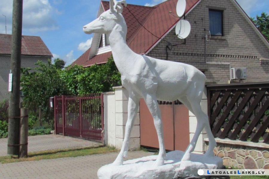 photo.jpg