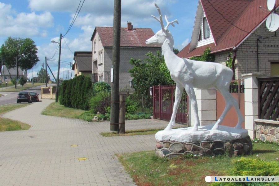 photo.jpg