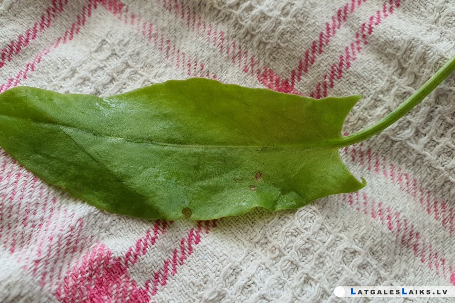 photo.jpg
