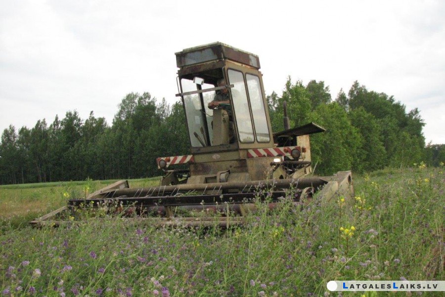 photo.jpg