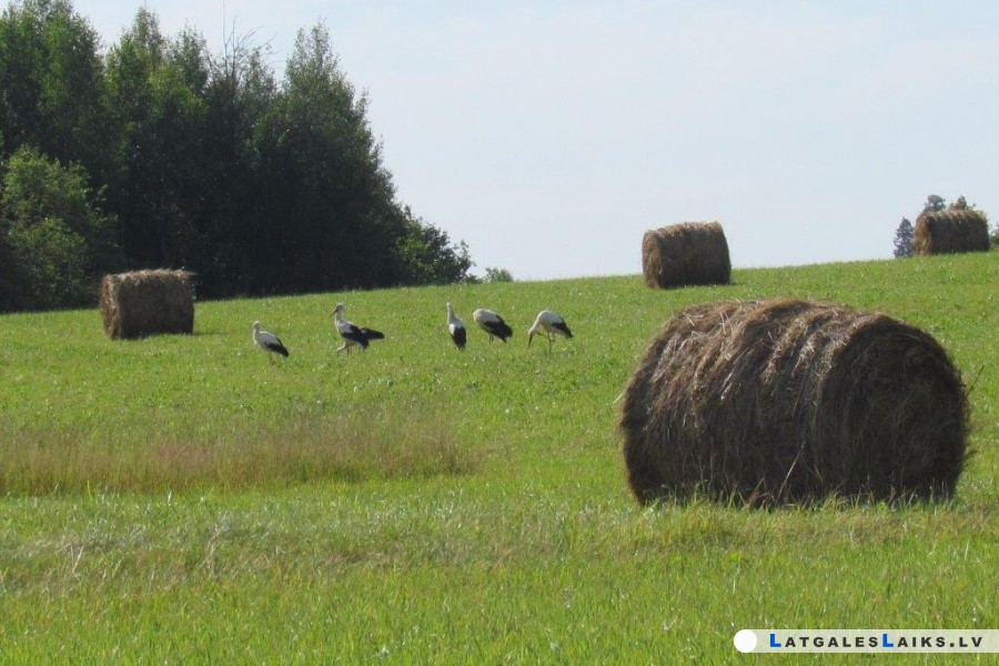 photo.jpg