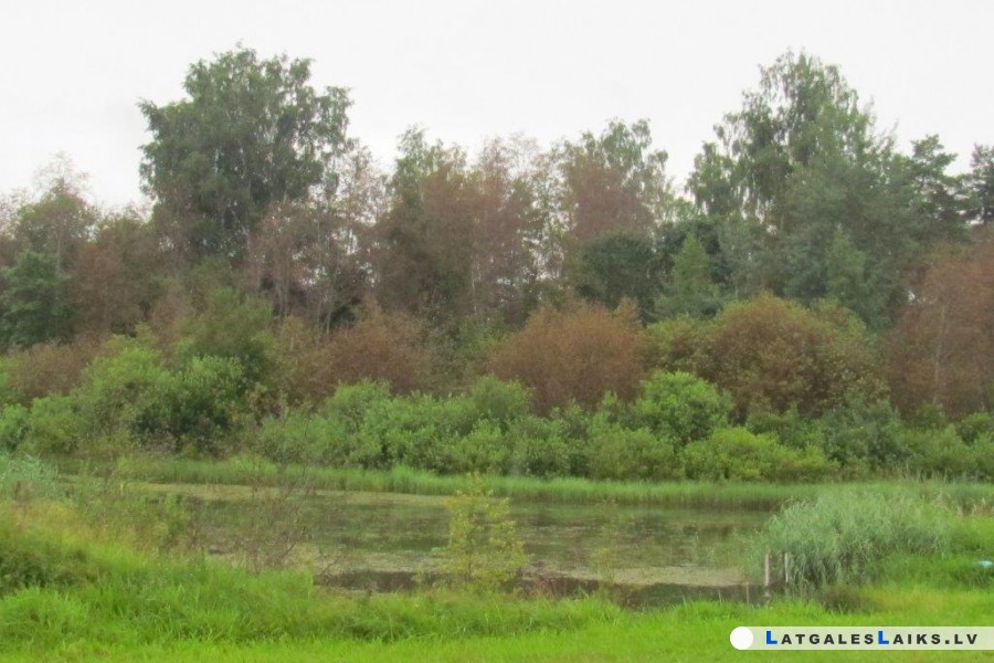 photo.jpg