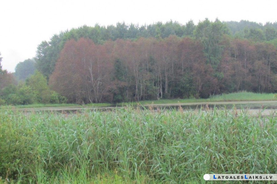 photo.jpg