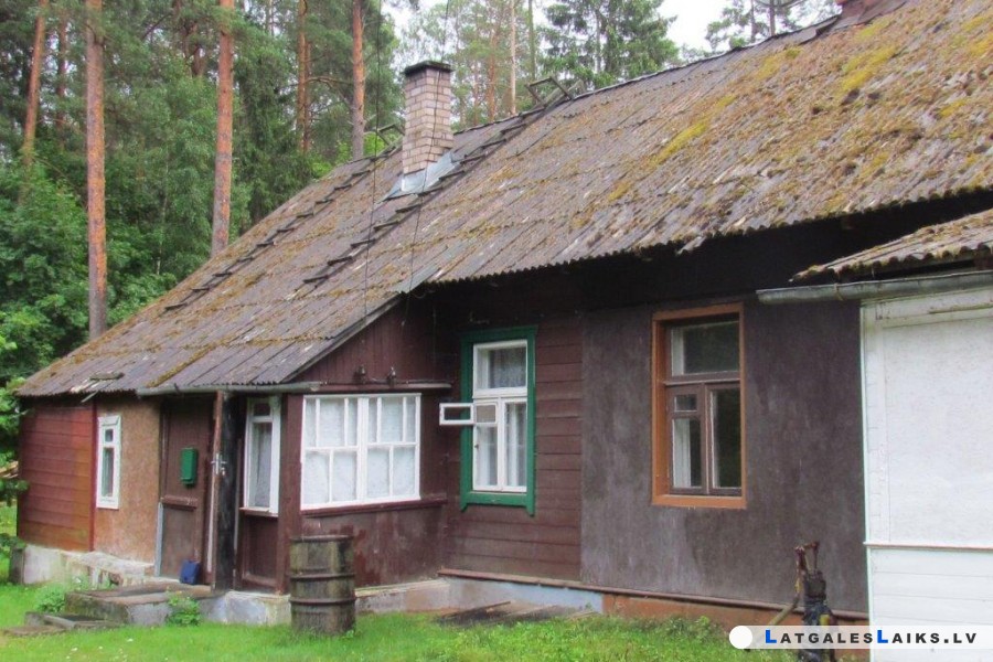 photo.jpg