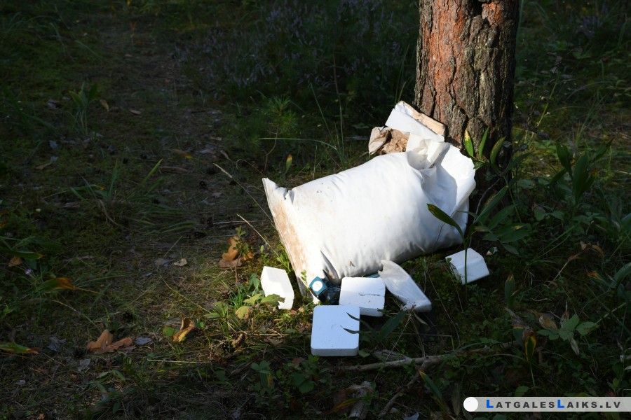 photo.jpg