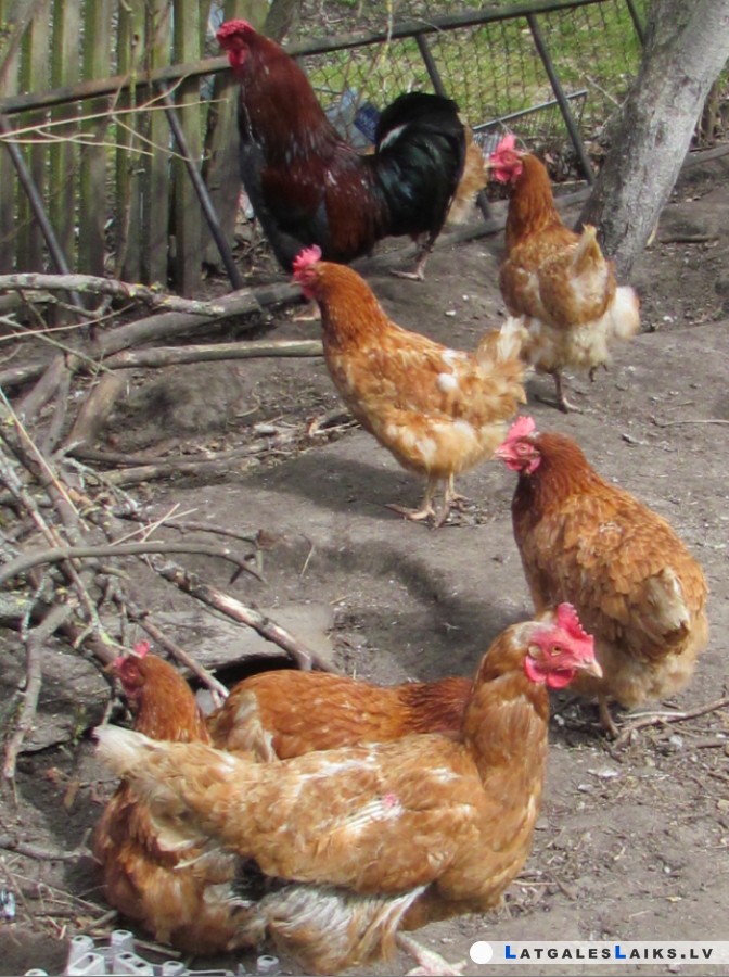 photo.jpg