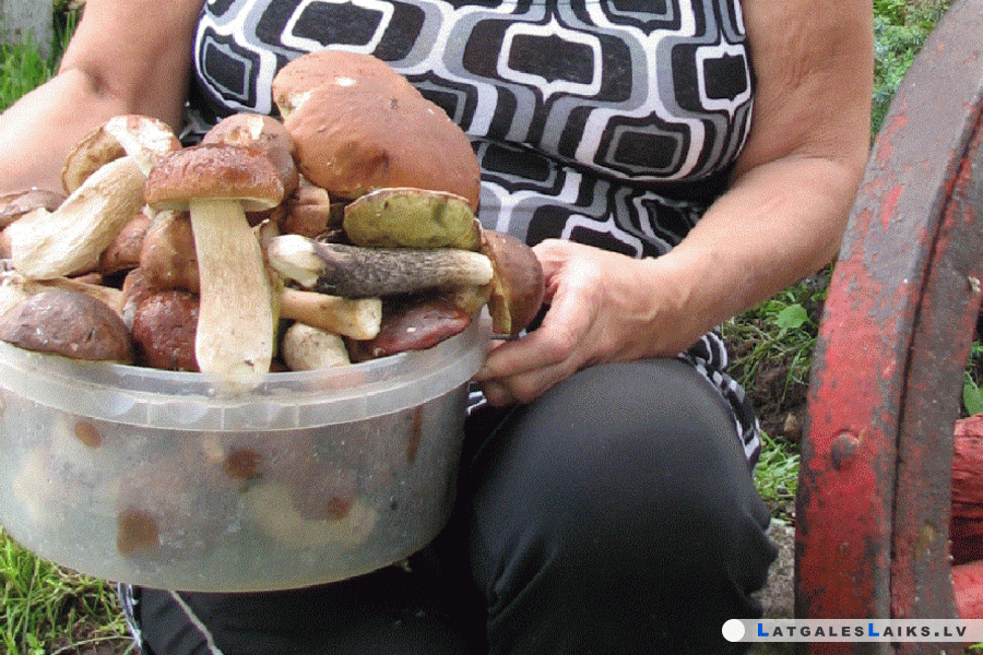 photo.gif