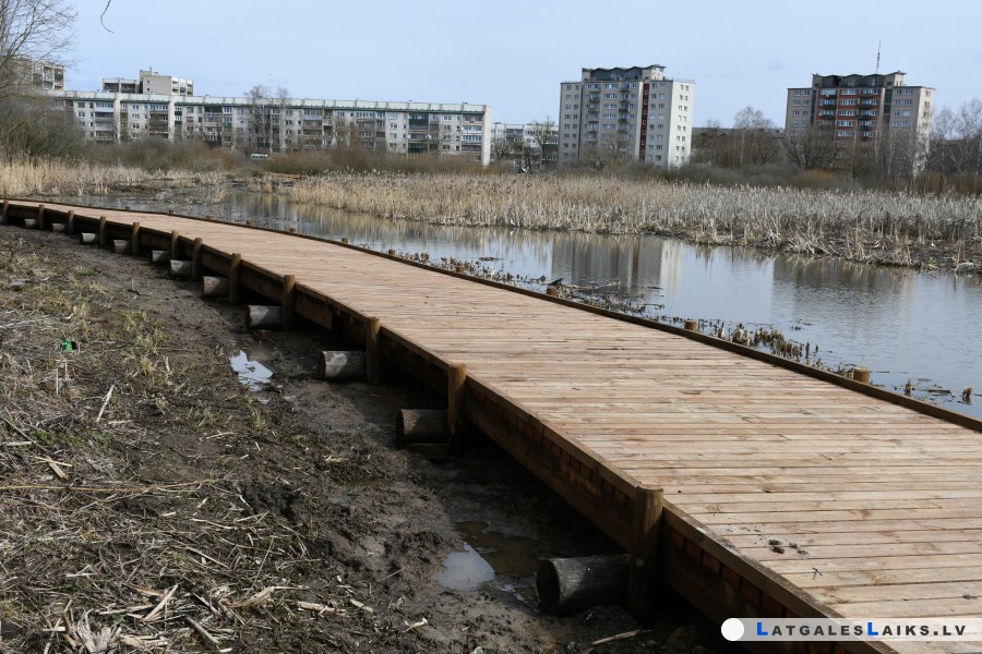 Рядом с Латгальским зоопарком создается Болотная тропа