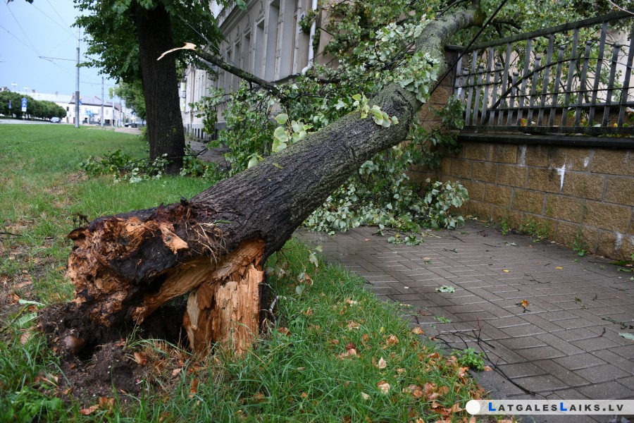 Vētra Daugavpilī nodarījusi vairāk nekā 100 000 eiro zaudējumus