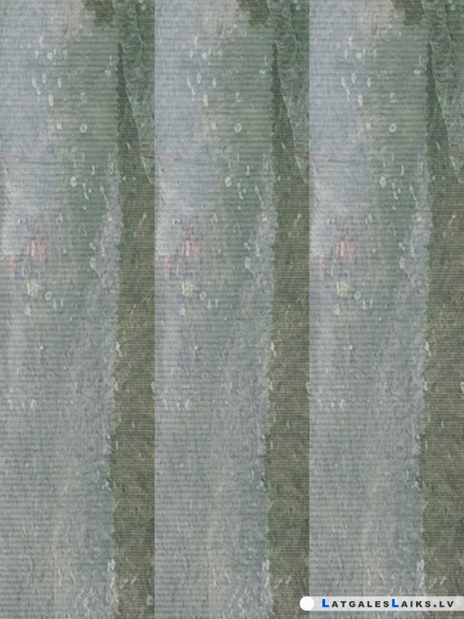 photo.jpg