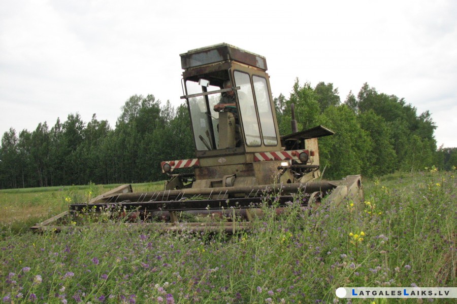 photo.jpg