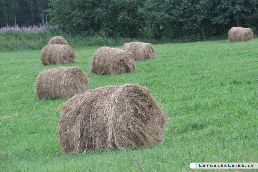 photo.jpg