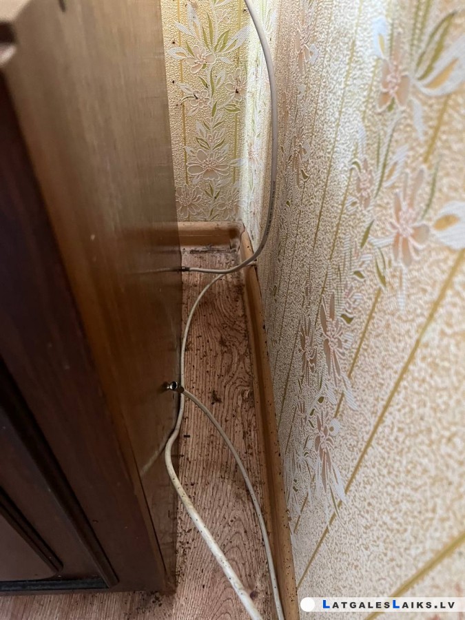 photo.jpg