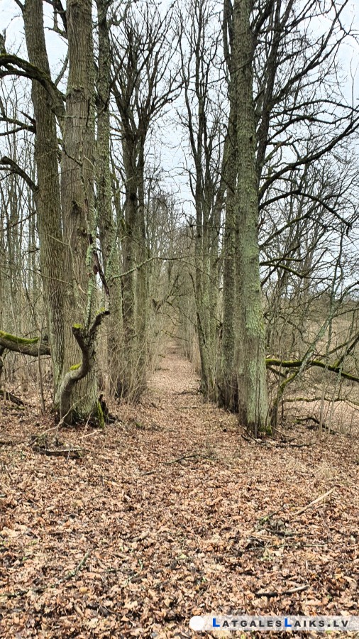 photo.jpg