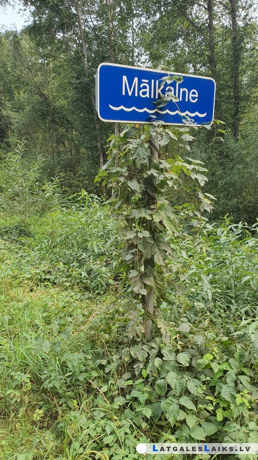 photo.jpg