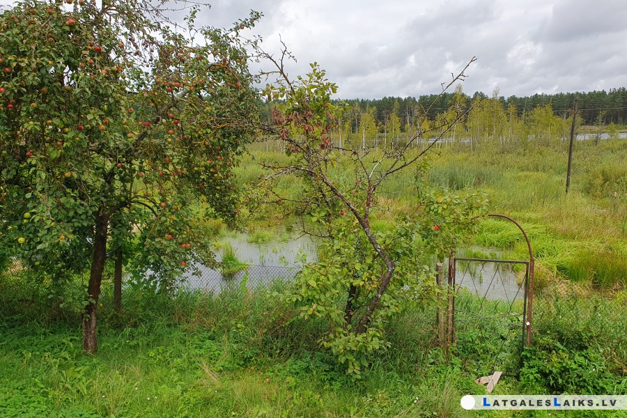 photo.jpg