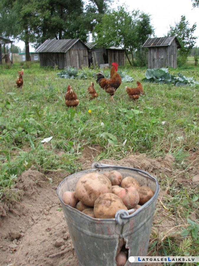 photo.jpg