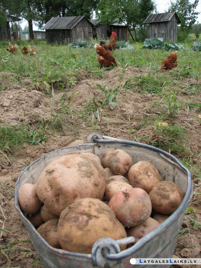 photo.jpg