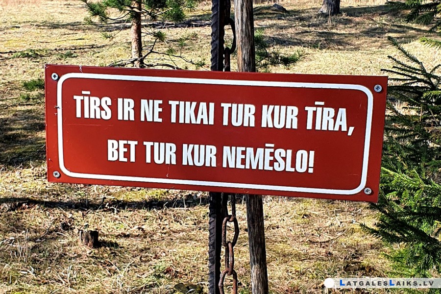 photo.jpg