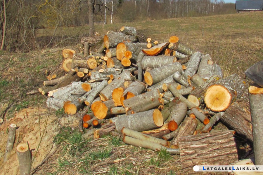 photo.jpg