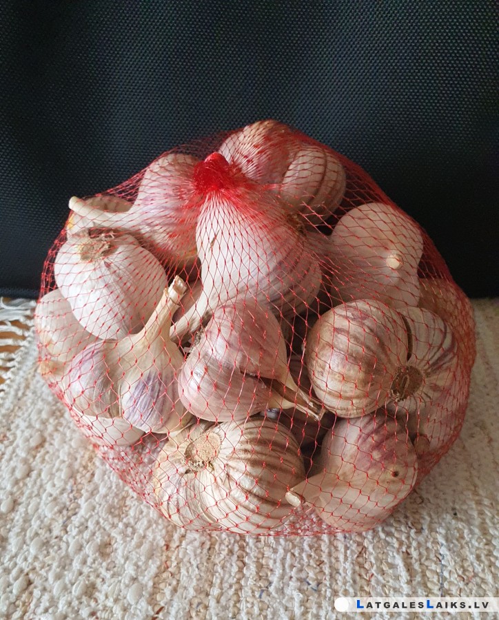 photo.jpg