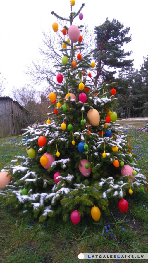 photo.jpg
