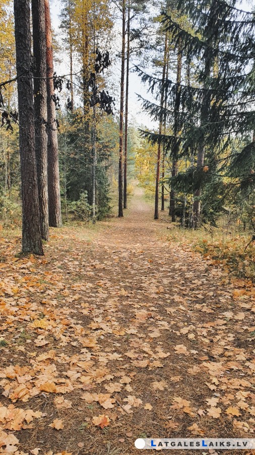 photo.jpg
