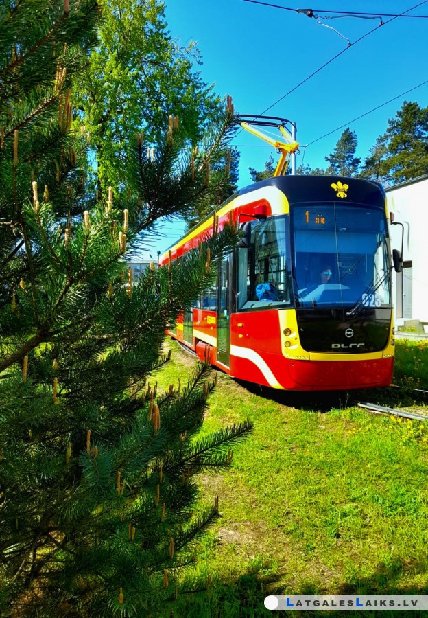photo.jpg