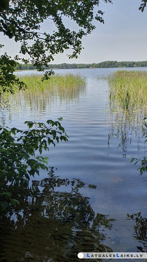 photo.jpg