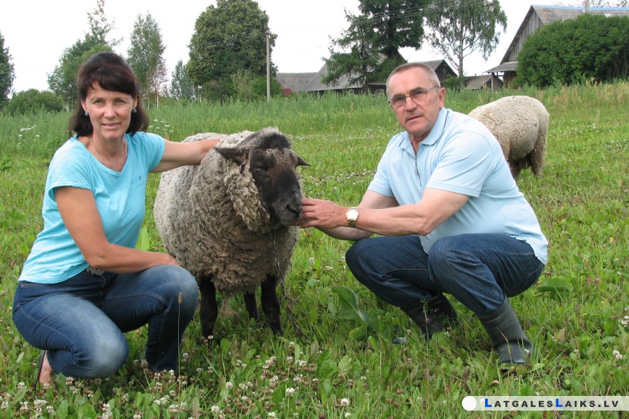Vai dzīvi veido nejaušības?