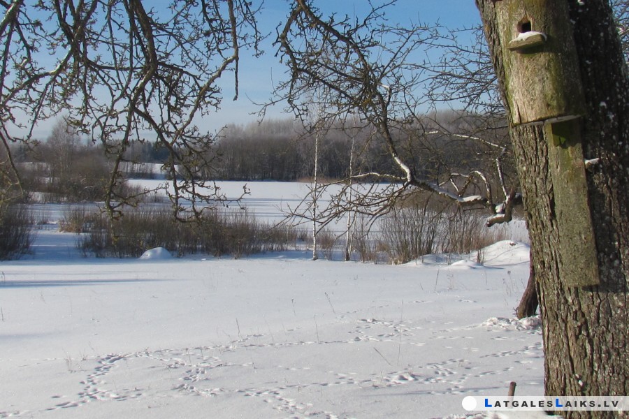 photo.jpg