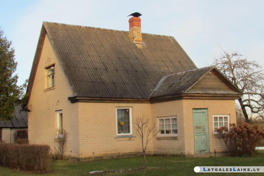 photo.jpg