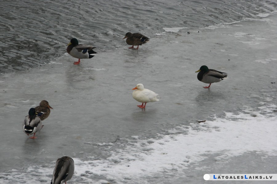photo.jpg
