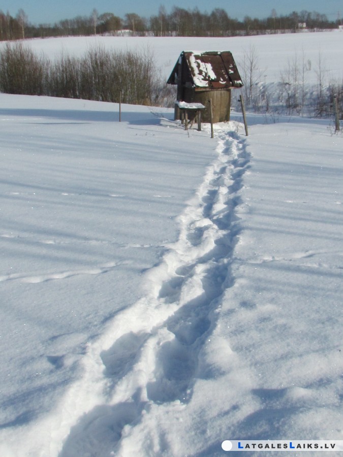 photo.jpg