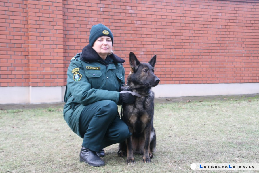 Suņa gads – uzticams un drošs