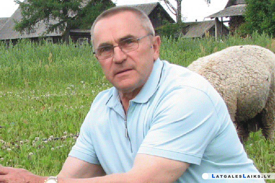 photo.gif