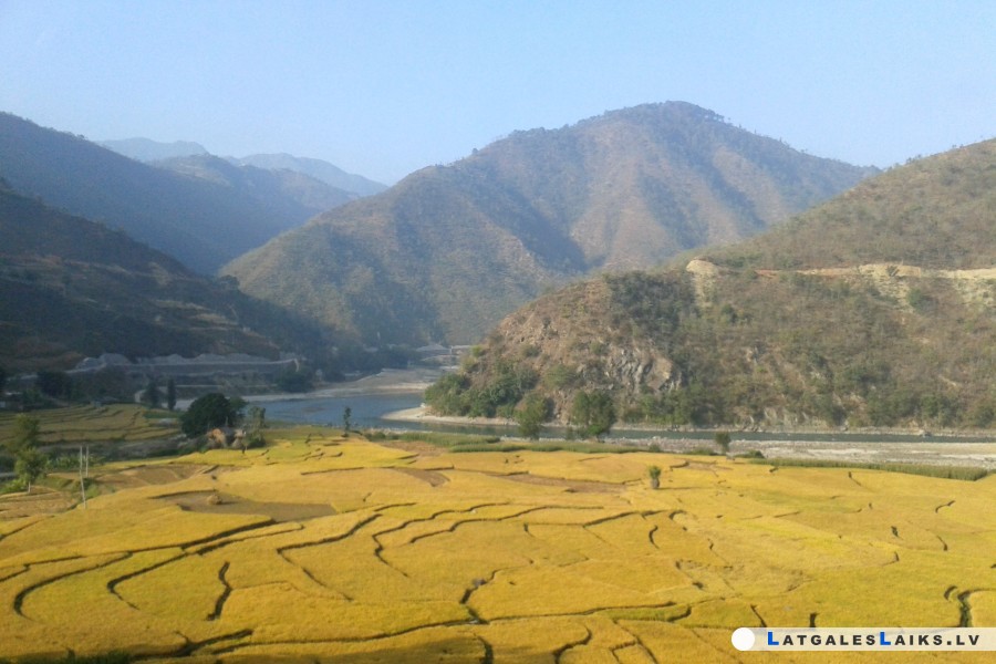 photo.jpg