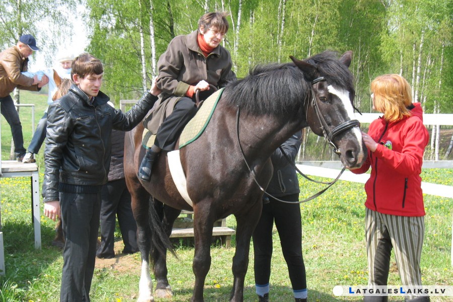 Labais dakteris – zirgs