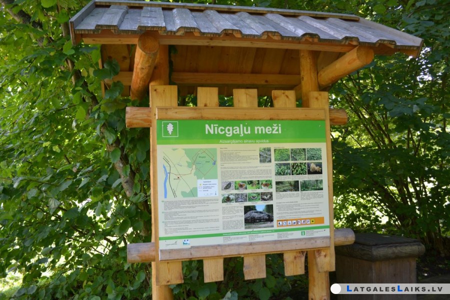 Sākta „Nīcgales mežu” aizsardzības plāna izstrāde