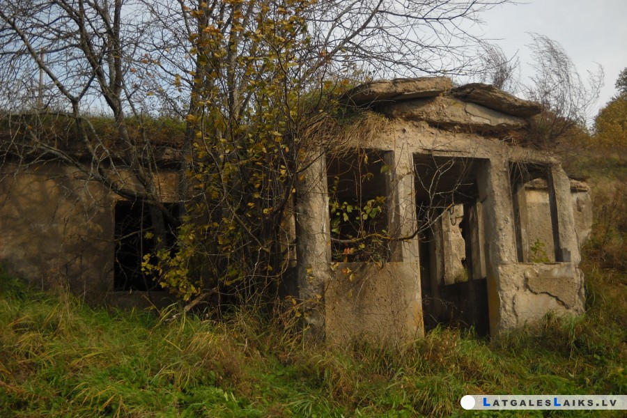 photo.jpg