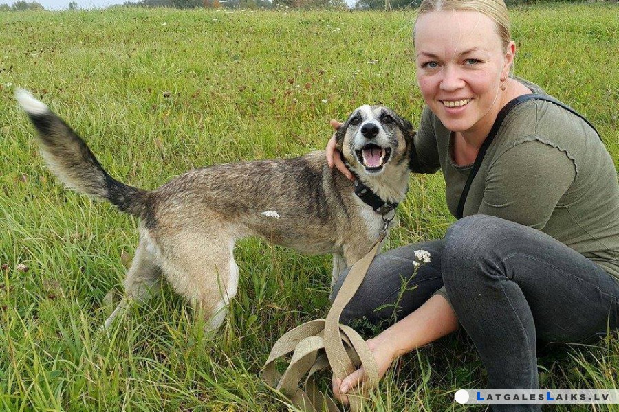 Dzīvnieku patversmē – atvērto durvju diena