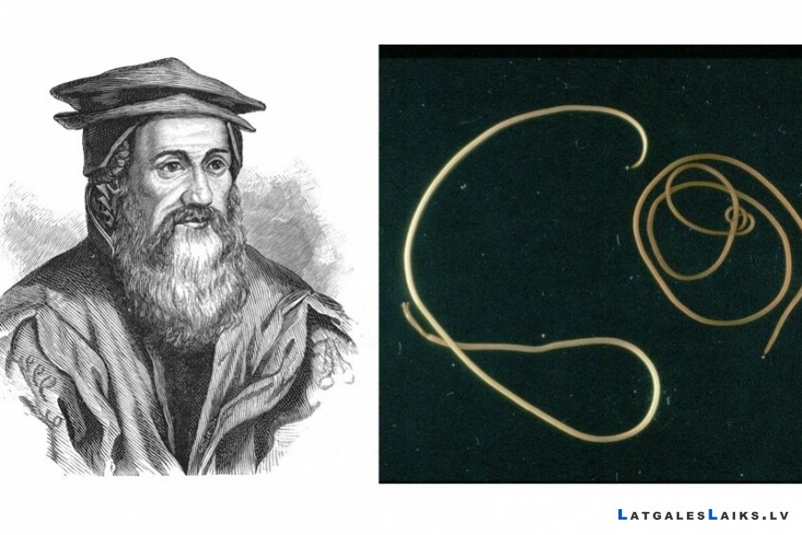 Zirga mats – Lielā Stropu ezera bieds