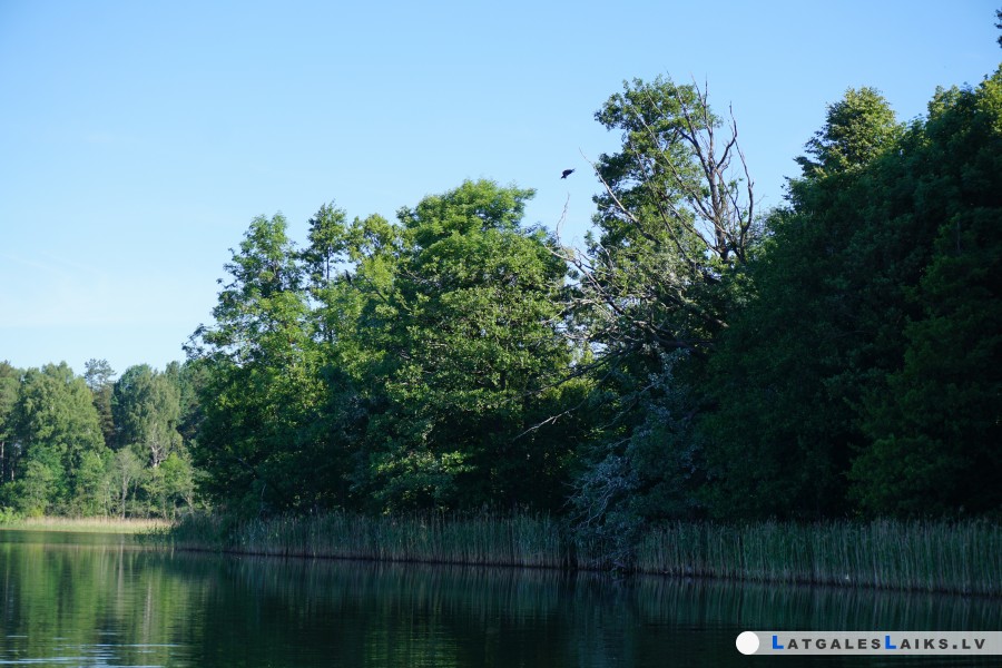 photo.jpg