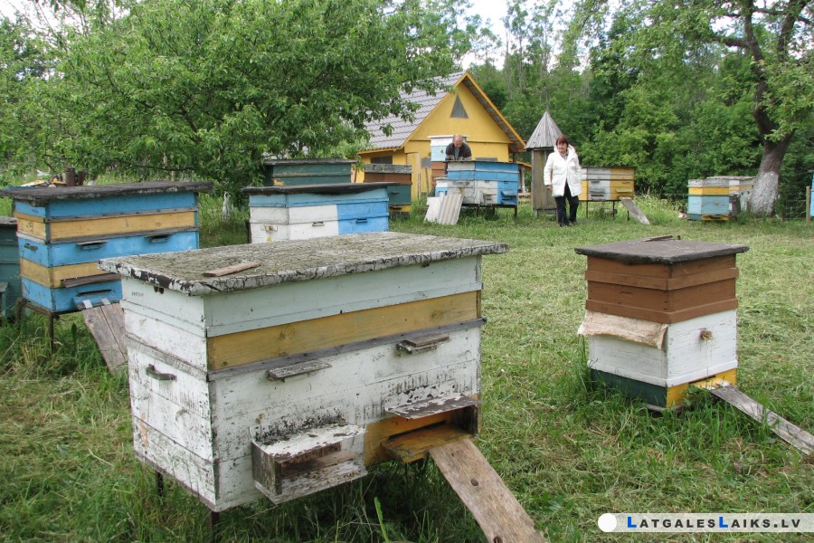 photo.jpg