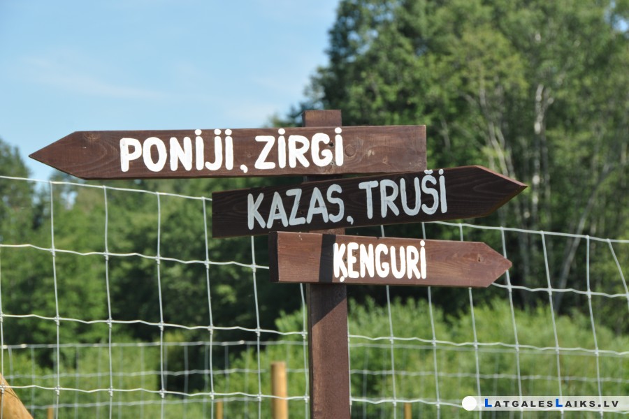 photo.jpg