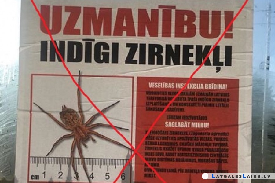 Ziņa par indīgiem zirnekļiem nav patiesa