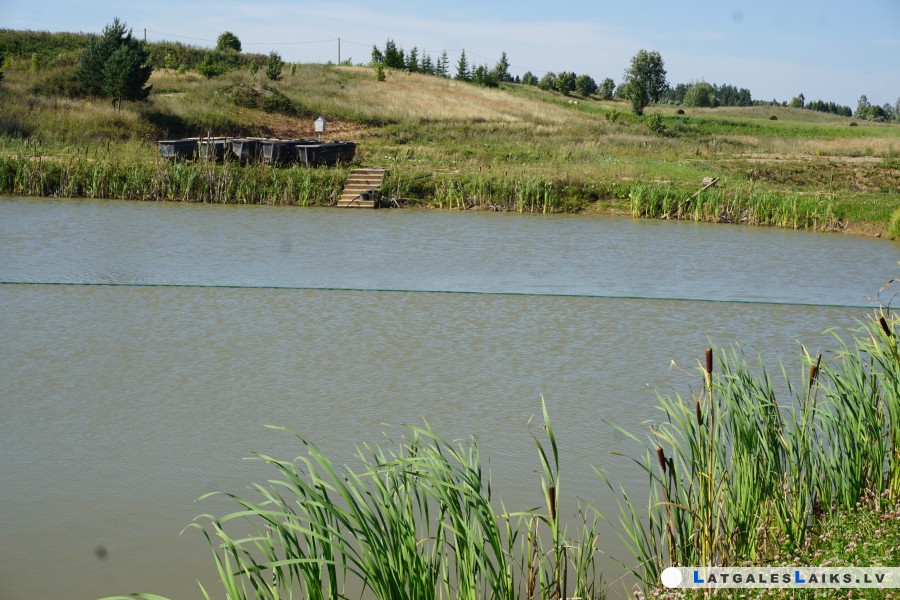 photo.jpg