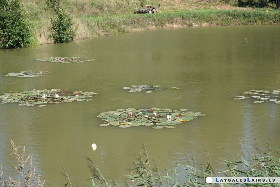 photo.jpg