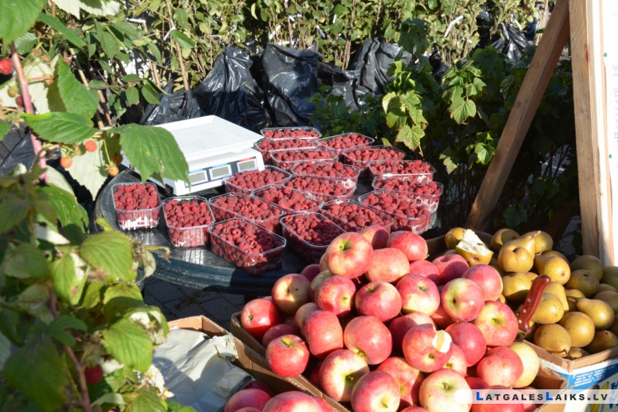 Aicina uz tradicionālo Miķeļdienas gadatirgu Jēkabpilī
