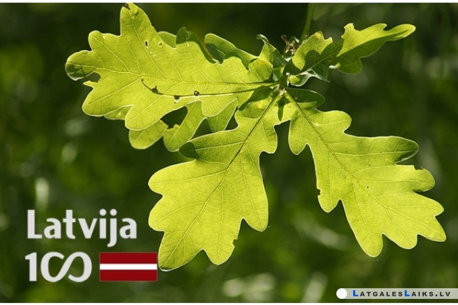 Kaplavā iestādīti Latvijas simtgades ozoli